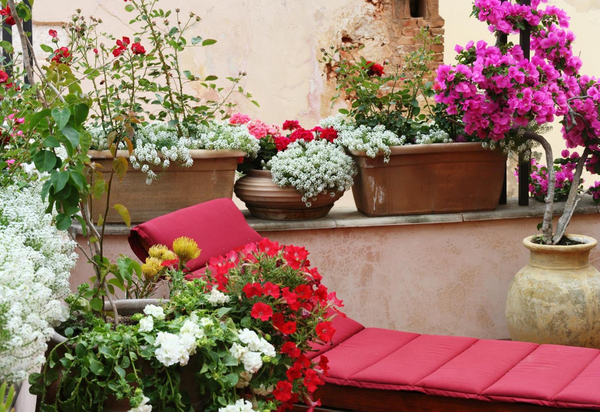 Ionas Boutique Hotel Chania  Exteriér fotografie