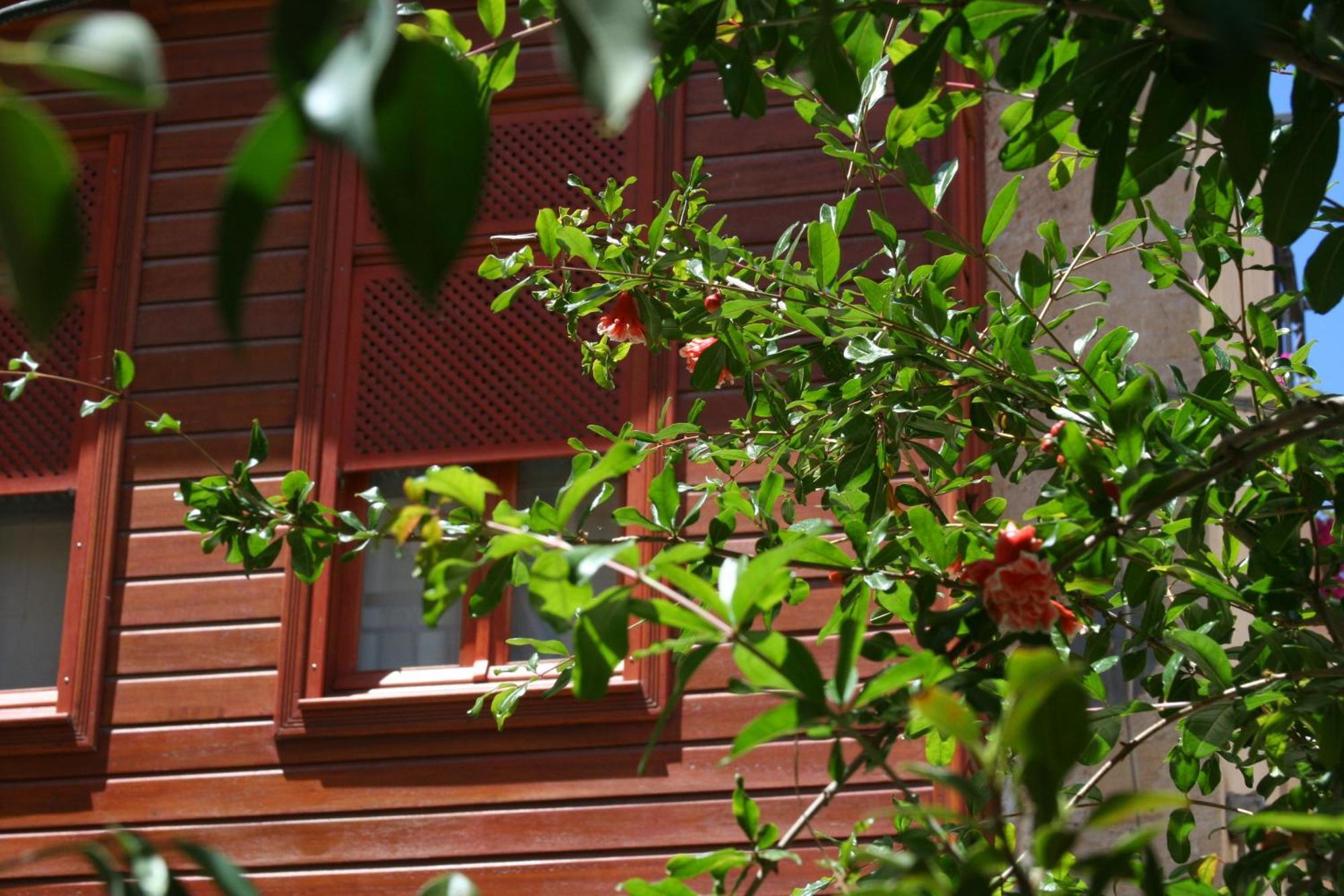 Ionas Boutique Hotel Chania  Exteriér fotografie